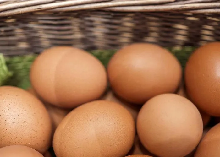 オリンピア コルティーナ・ダンペッツォ