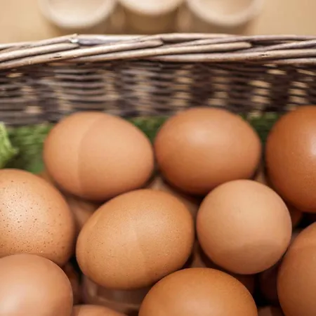 奥林匹亚酒店 科尔蒂纳丹佩佐