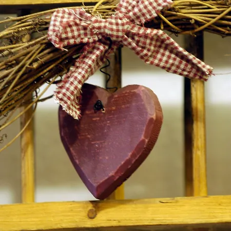 酒店 奥林匹亚酒店 3*